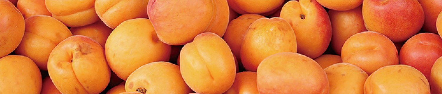 dau-tay-trang-beautiqlo-apricot-seed-deep-cleasing-oil-tinh-dau-hat-mo-1
